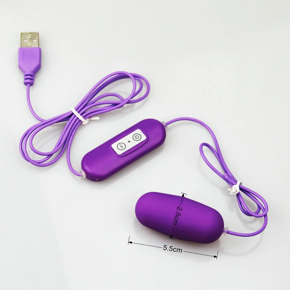 Double Œuf Vibrant USB – Contrôle Manuel – Massage Intime Clitoridien & Interne – Plaisir en Duo
